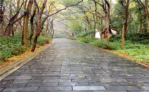 公園青石路